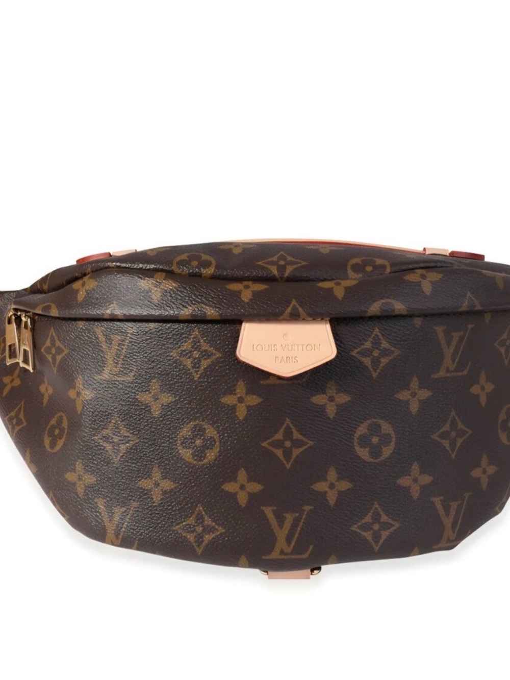 Louis Vuitton Monogram Bumbag
